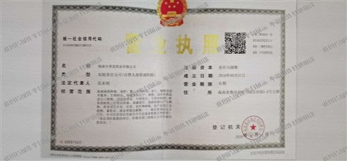 復(fù)合型人才戰(zhàn)場(chǎng) 營(yíng)銷策劃員與企業(yè)咨詢崗的魅力對(duì)撞